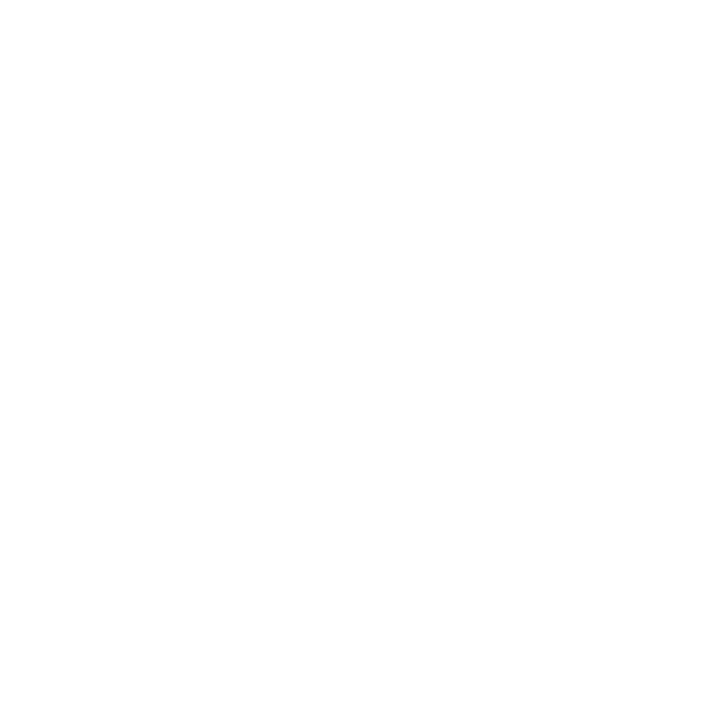LUFIT Icon